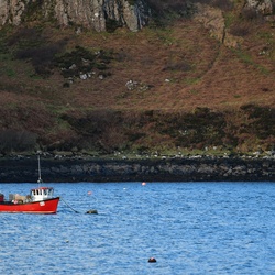 2018-11 Scotland/Portnalong/DSC_7305.JPG